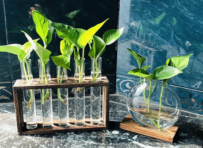 5 Tube Wooden Plant Propagation Station, Tabletop Glass Terrarium Holder for Cuttings Hydroponics, Home Office Desk Decor Gift for Women Mom Plant Lovers, Brown
