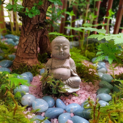 HappyFiller 2-5mm Pink Pea Gravel,Fairy Garden Mini Rocks,Terrarium Decor Pebble Stones,Succulent Caucts Planter Topper Dressing,Indoor Plants Granules,Aquarium Fish Tank,1.1 LB