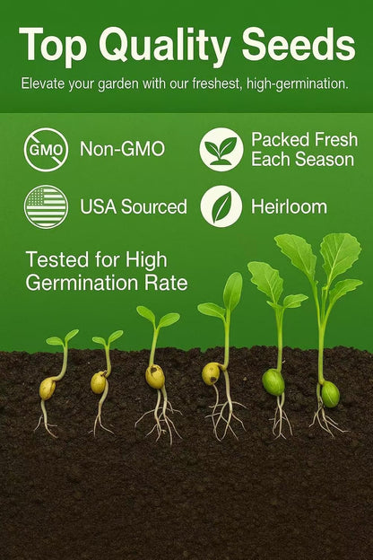 30000+ Creeping Thyme Seeds – 4g – Perennial Ground Cover Plants Flowers Non-GMO Heirloom – Purple Bloom Garden Seeds for Planting