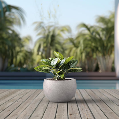 Kante 19.9" Dia Round Concrete Planter, Outdoor/Indoor Large Bowl Plant Pots with Drainage Hole and Rubber Plug for Garden Patio Balcony Home, Light Gray