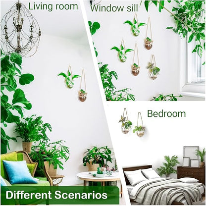 Propagation Station, Plants Terrarium, Plants Lover Gifts for Women,Plant Cutting Holder Home décor,Gifts for Women,House Warming New Home-2 Bowl Shape