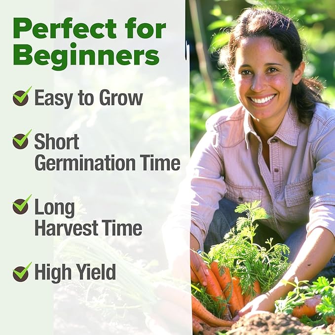 HOME GROWN Tendersweet Carrots Seeds 1 Pack - 3000 Non-GMO Heirloom Carrot Seeds for Planting Outdoors - High- (Daucus carota subsp. sativus)