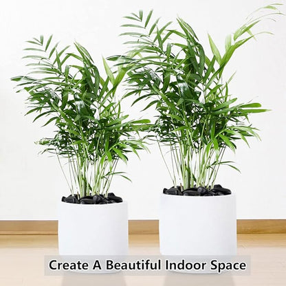 2lbs Black Pebbles for Plants, 1-2 Inch High Polished Natural River Rocks for Landscaping, Decorative Stones Vase Filler Fish Tank Aquariums Garden Outdoor and Indoor DIY