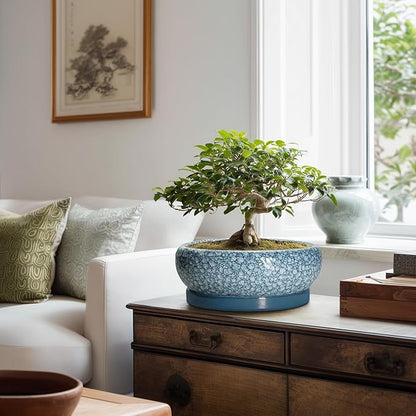 Bonsai Pots 10 Inch - Ceramic Succulent Planters with Drainage Hole and Saucer, Succulent Pots for Indoor Outdoor, Shallow Flower Pot, Round Planter, Patio Decor, Housewarming Gifts, Blue