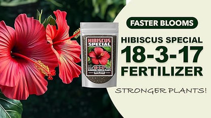 Fertilizer Commercial Grade | Tropical Flower Special 18-3-17 | 3 Pounds | Custom Professional Mix Blend | 90-Day, Buds & Blooms | Balanced NPK Formula for Hibiscus & Orchids | Controlled Release Feed