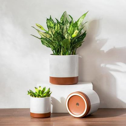 vancasso Ceramic Plant Pots, 4.25+5.25+6.25 Inch Planter Pot with Drainage Hole, Flower Pots for Indoor Outdoor Plants, Set of 3, Khaki