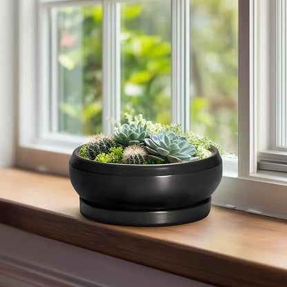 Succulent Planters 8 Inch - Ceramic Bonsai Pots for Indoor Outdoor, Round Succulent Pots with Drainage Hole and Saucer, Modern Shallow Planter Bowl, Garden Home Decor, Birthday Gifts, Black