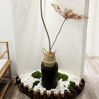 20 lbs White Stones for Landscaping, 1-2 Inch Pebbles Decorative River Rocks for Plants Indoor, Vases, Aquariums Gravel, Crafting and Garden