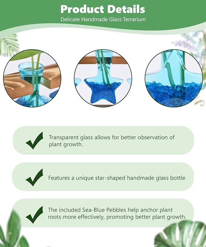 Nacome Star Glass Propagation Stations: Plant Terrarium with Wooden Stand Vase for Home Office Desk Decor, Unique Gifts for Plant Lovers Women Mom (Blue)
