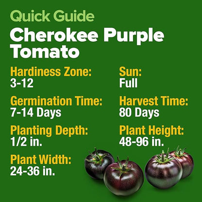 HOME GROWN 𝗨𝗦𝗔 𝗣𝗥𝗘𝗠𝗜𝗨𝗠 Cherokee Purple Tomato Seeds 1 Pack (Solanum lycopersicum) - 106 Seeds, 𝗡𝗢𝗡-𝗚𝗠𝗢 Tomato for Planting - Heirloom Vegetable Seeds with High Germination Rate