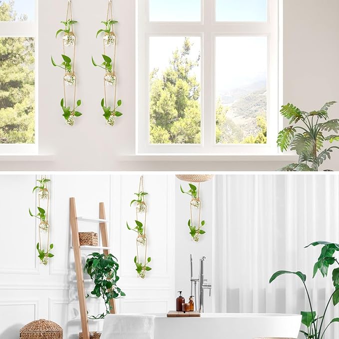 XXXFLOWER Wall Hanging Propagation Station，3 Tired Star Shaped Glass Flower Vase for Hydroponic Planter Terrarium for Plant Cutting Home Office Living Room Garden Decor