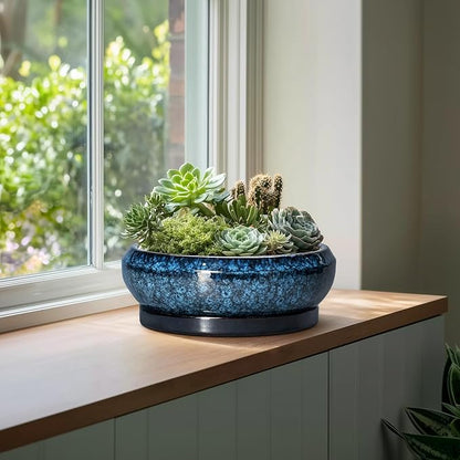 Bonsai Pots - 13 Inch Ceramic Succulent Pots for Indoor Outdoor, Large Succulent Planter with Drainage Hole and Saucer, Round Shallow Flower Planters, Porch Decor, Gardening Gifts, Blue