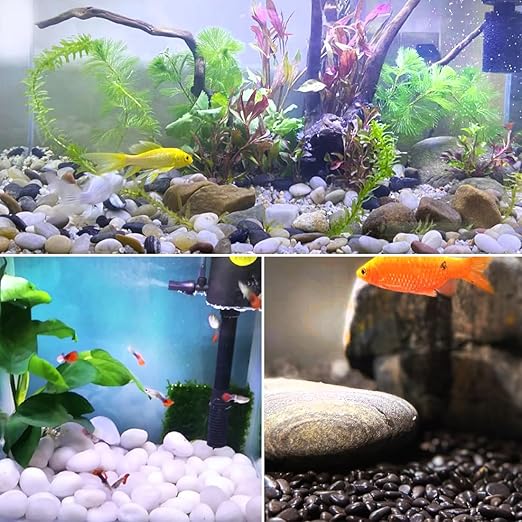 20lbs White River Rocks for Landscaping, 2-3 Inch Natural Pebbles for Indoor Plants, High Polished Decorative Stones Vase Filler Fish Tank Aquariums Garden Outdoor and Indoor DIY