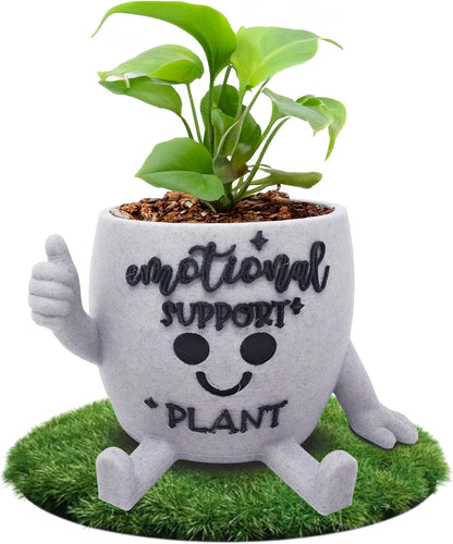 Funny Face Indoor Head Planter Pot, 3D Printed, Unique Small Succulent Flower Pot, Cute Cactus Planter, Indoor Home Decor, Office Desk Plant Pot, Novelty Gardening Gift Set