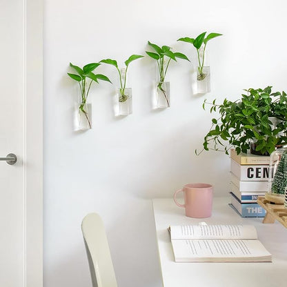 Propagation Station, Plants Terrarium, Plants Lover Gifts for Women,Plant Cutting Holder Home décor,Gifts for Women,House Warming New Home-4 Cylinder Shape