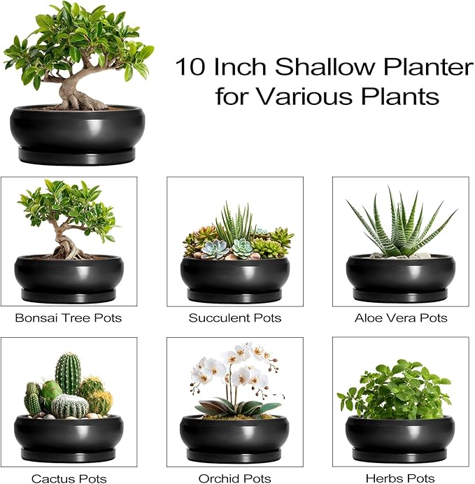 Bonsai Pots 10 Inch - Ceramic Succulent Planters Indoor Outdoor, Bonsai Pots with Drainage Hole and Tray, Modern Shallow Planter, Round Bowl Planter, Garden Decor, Garden Gift, Black