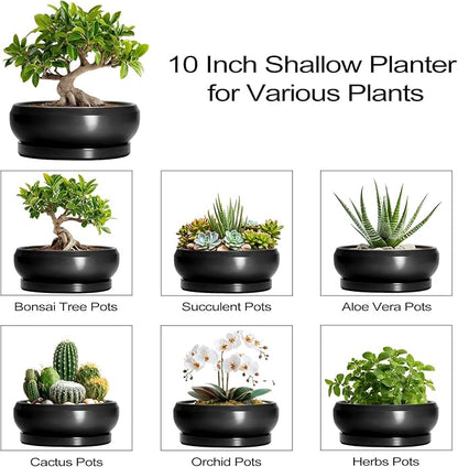 Bonsai Pots 10 Inch - Ceramic Succulent Planters Indoor Outdoor, Bonsai Pots with Drainage Hole and Tray, Modern Shallow Planter, Round Bowl Planter, Garden Decor, Garden Gift, Black