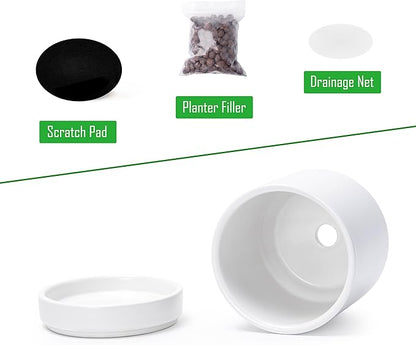 D'vine Dev Set of 2 Plants Pot, 4.7 Inch Ceramic Planter Pot for Plants with Drainage Hole and Saucer, White, 94-V-B-1