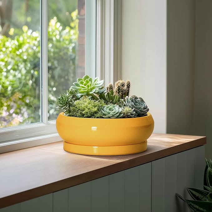Ceramic Bonsai Pots - 13 Inch Large Succulent Pots with Drainage Hole and Saucer, Bonsai Planter for Indoor Outdoor, Round Shallow Bowl Planter, Garden House Decor, Plant Lover Gifts, Yellow