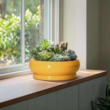 Ceramic Bonsai Pots - 13 Inch Large Succulent Pots with Drainage Hole and Saucer, Bonsai Planter for Indoor Outdoor, Round Shallow Bowl Planter, Garden House Decor, Plant Lover Gifts, Yellow
