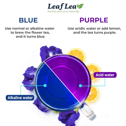 LeafLea 40 Butterfly Pea Flower Tea Bags, Herbal Flower Tea for Relaxation, Mocktails, and Natural Food Coloring, Caffeine-Free, Sugar-Free, Non-GMO