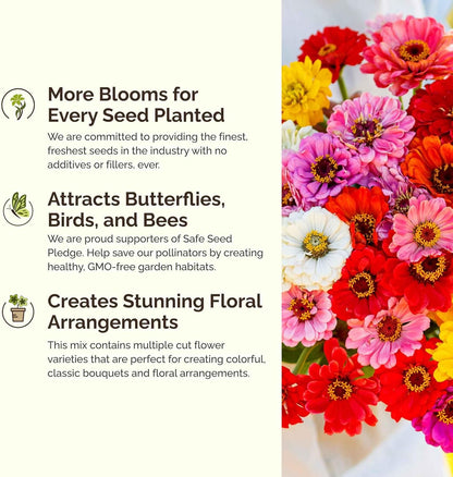 Eden Brothers Late Bloomer Wildflower Mixed Seeds for Planting, 1/4 lb, 120,000+ Seeds with White Yarrow, Snapdragon | Attracts Pollinators, Plant in Spring or Fall, Zones 3, 4, 5, 6, 7, 8, 9, 10