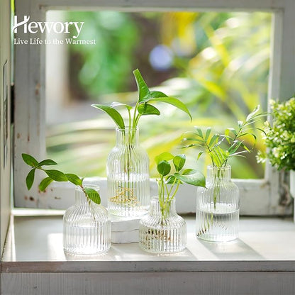 Hewory Glass Propagation vases for Plants: 4 PCS Ribbed Propagated Plant Holders for Hydroponic Cutting Flowers - Clear Propagation Stations Terrarium Jars for Home Office Decor Plant Lover Gifts
