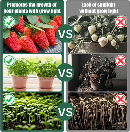 Tabletop 5-Tier Seed Starting Kit Germination Tray - Plant Stand with Grow Lights Full Spectrum Sunlike Plant Light for Indoor Plants, Greenhouse, Succulents, Seedlings Gardening