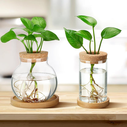 Layhit 4 Pcs Plants Propagation Stations vases Glass Planters with Wooden Lid and Bamboo Stand for Hydroponic Plants Gardening Gifts for Women Mom Home Office Tabletop Decoration(Funny Style)