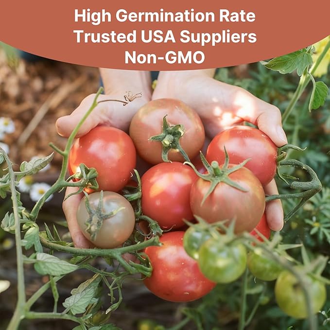 Cherokee Purple Tomato Seeds, Approx 106 Seeds - Non-GMO Heirloom Tomato Vegetable Seeds for Planting Garden Outdoor