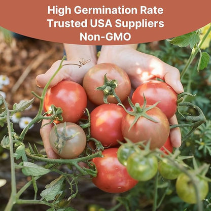 Cherokee Purple Tomato Seeds, Approx 106 Seeds - Non-GMO Heirloom Tomato Vegetable Seeds for Planting Garden Outdoor