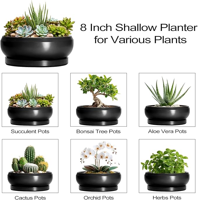 Succulent Planters 8 Inch - Ceramic Bonsai Pots for Indoor Outdoor, Round Succulent Pots with Drainage Hole and Saucer, Modern Shallow Planter Bowl, Garden Home Decor, Birthday Gifts, Black