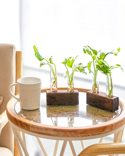 Propagation Station, Plants Terrarium, Plants Lover Gifts for Women,Plant Cutting Holder Home décor,Gifts for Women,House Warming New Home-4 Tubes-Brown