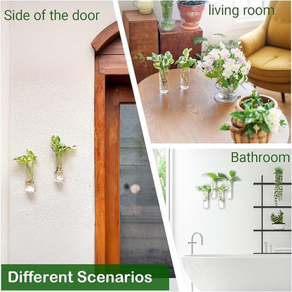 Propagation Station, Plants Terrarium, Plants Lover Gifts for Women,Plant Cutting Holder Home décor,Gifts for Women,House Warming New Home-4 Cylinder Shape