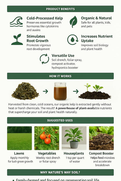 Nature’s Way Soil® Liquid Kelp Fertilizer – 1 Gallon/Makes 1890 Gallons | Organic Seaweed Plant Food for Lawn, Garden, Flowers & Vegetables | Cold-Processed | Natural Growth Booster & Soil Revitalizer
