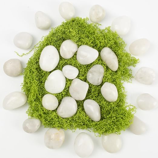 River Rocks - Natural Polished White Pebbles, 0.5-1 inch, 10 Lbs - Ideal for Indoor Planting, Vase Filling, Aquarium Decoration, and Garden Landscaping (White, Weight: 10 LB)