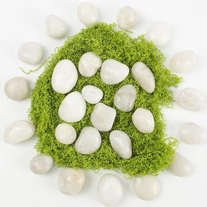 River Rocks - Natural Polished White Pebbles, 0.5-1 inch, 10 Lbs - Ideal for Indoor Planting, Vase Filling, Aquarium Decoration, and Garden Landscaping (White, Weight: 10 LB)