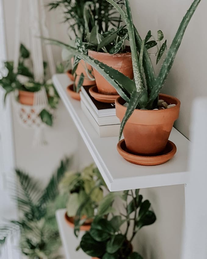 Terracotta Pots 6 Inch (4 Pack), Clay Pots for Plants with Drainage Hole and Saucer, Flower Pot with Tray, Large Terracotta Pot for Indoor Outdoor Plant