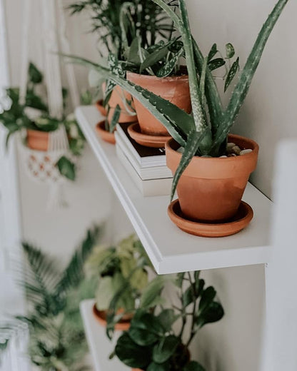 Terracotta Pots 6 Inch (4 Pack), Clay Pots for Plants with Drainage Hole and Saucer, Flower Pot with Tray, Large Terracotta Pot for Indoor Outdoor Plant