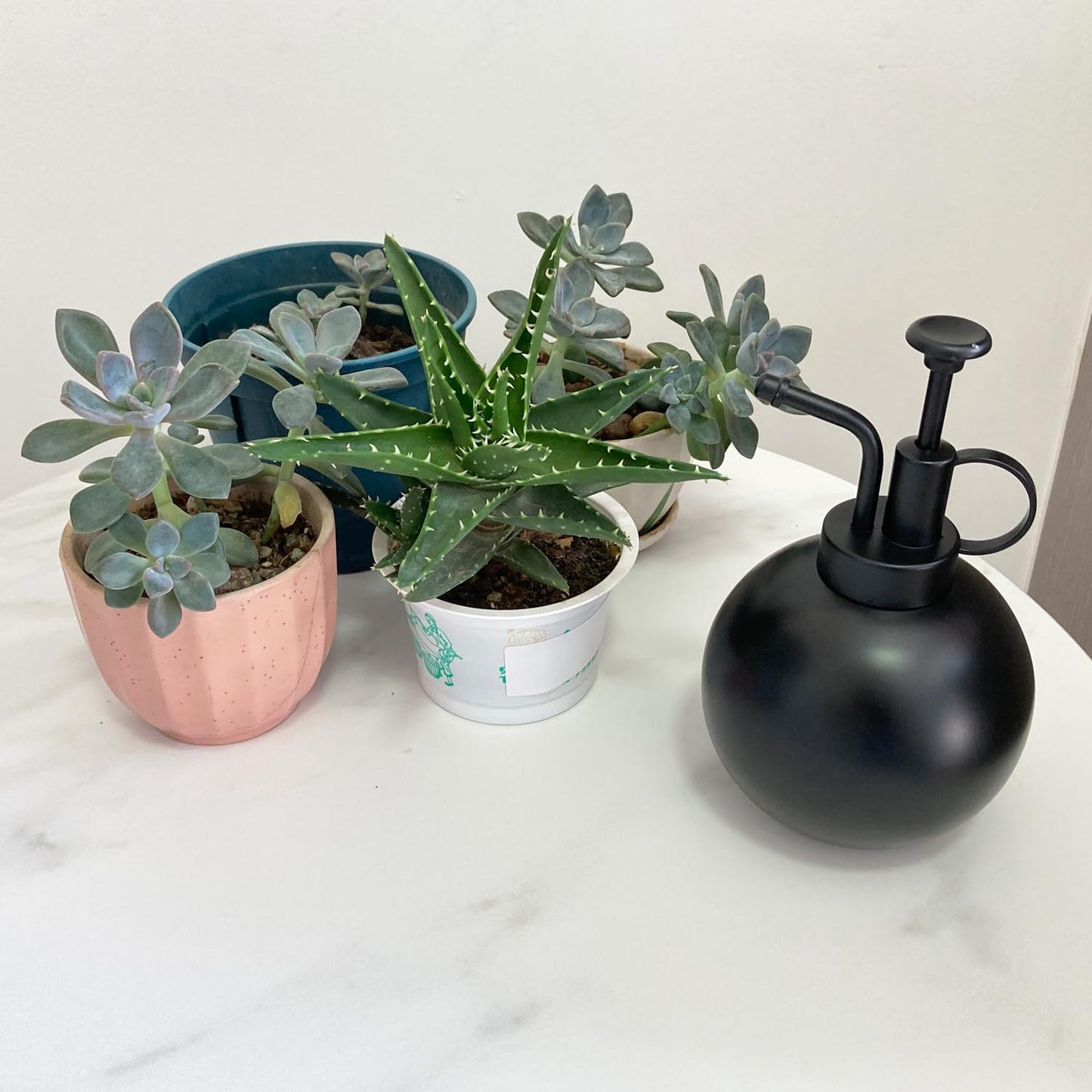 Plant Misting Bottle Stainless Steel Plant Sprayer, Small Watering Can Plant Misting Bottle Modern Gardening Tools for Indoor Potted Plants Watering and Misting