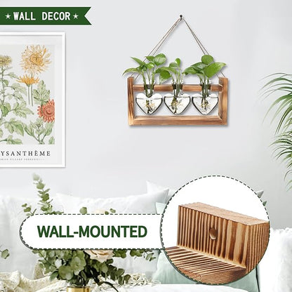 Plant Terrarium Propagation Stations Faith Hope Love Hydroponics Home Garden Decoration Gift for Women with Wooden Stand Heart Shaped Colored Glass Vase