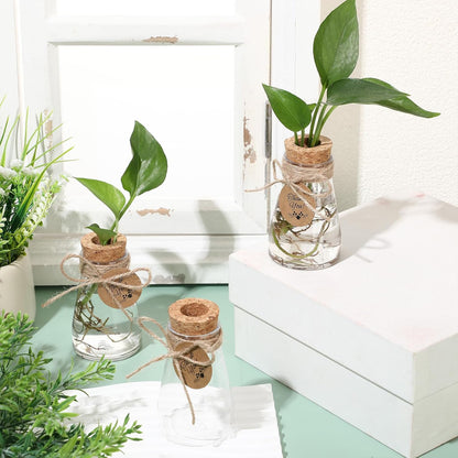 Baderke 3.35'' Plastic Plant Propagation Stations with Hole Lid Planter Vase Clear Propagation Jars with Thank You Tags for Plant Lover Gifts for Women Office Home Garden (48 Pack,Cute)