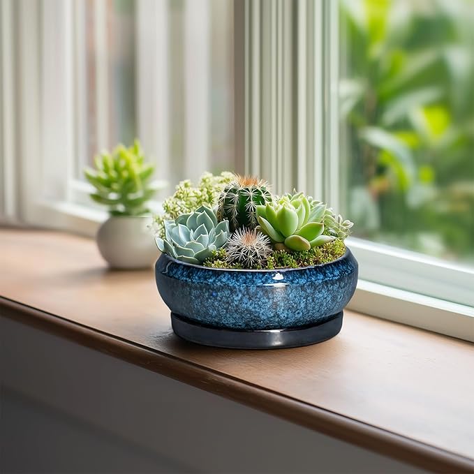 Succulent Pots - 6 Inch Ceramic Bonsai Pots with Drainage Hole and Saucer, Shallow Planter for Indoor Outdoor, Round Succulent Planter, Cactus Pot, Office Decor, Gifts for Plant Lovers, Blue