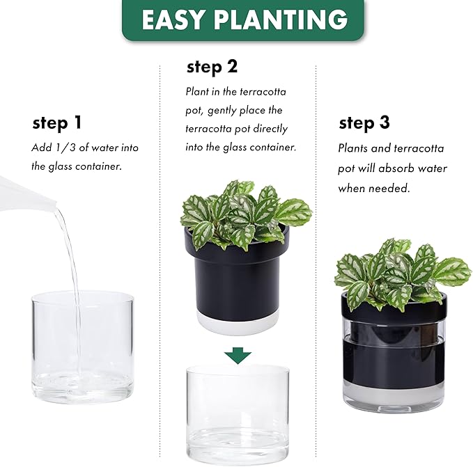 Phoenix Vine 6 Inch Self Watering Terracotta Planter, Black Terracotta Clay Pot with Glass Reservoir for Indoor Plants, Herbs, Flowers, Set of 1, 52-C-F-1