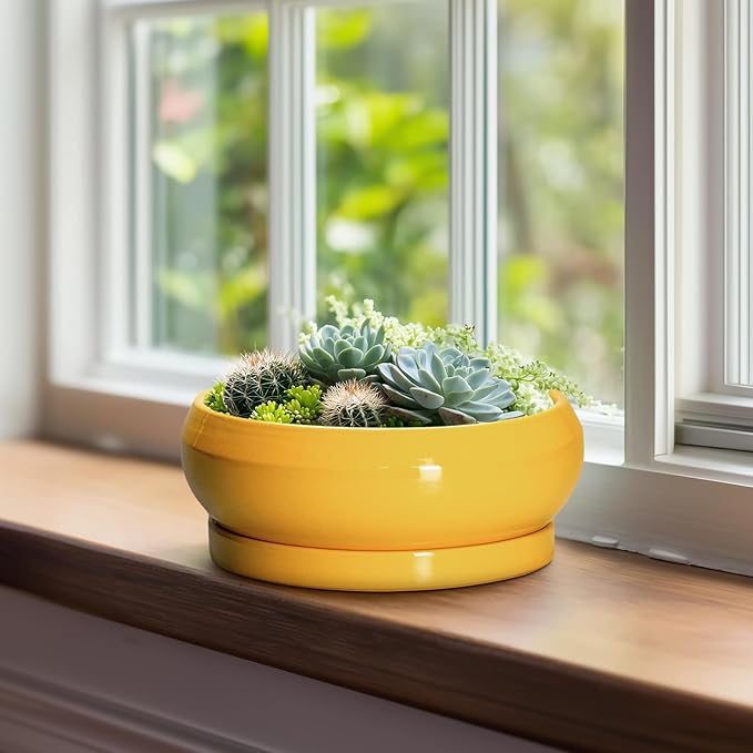 Bonsai Pots - 8 Inch Ceramic Succulent Planter for Indoor Outdoor, Shallow Planters with Drainage Hole and Saucer, Round Modern Planter Bowl, Window Decor, Gifts for Plant Lovers, Yellow