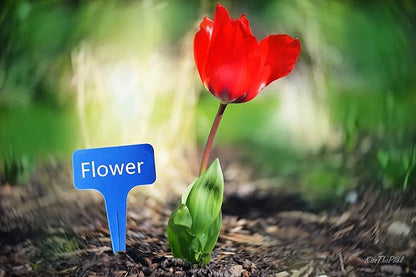 Blue Thick Plant Garden Labels, Plastic T-Type Nursery Markers Tags(100 Pcs)