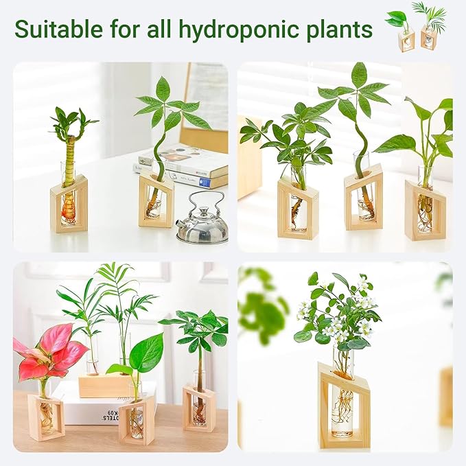 Propagation Station, Plants Terrarium, Plants Lover Gifts for Women,Plant Cutting Holder Home décor,Gifts for Women,House Warming New Home-2 Tubes-Beige