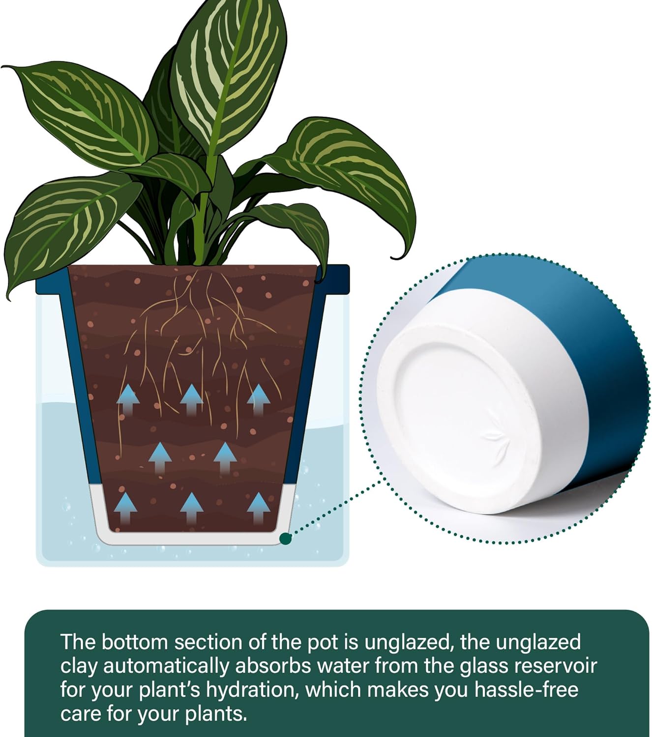 D'vine Dev 10 Inch Design Self Watering Planter for Indoor Plants, Blue Terracotta Pot with Cylinder Glass Cup, 37-X-D-4