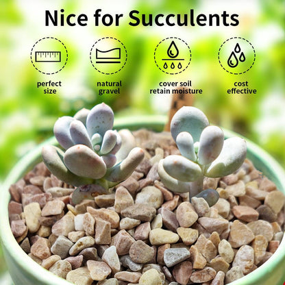 2 lbs Pea Gravel - 3/8 Inch Small Pebbles Rocks for Indoor Plants, Succulents, Cactus, Fish Tank, Terrarium, Landscaping and Decorative Stones(32 oz, 6-9 mm)