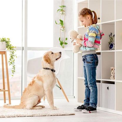 XXXFLOWER Wall Hanging Propagation Station，3 Tired Star Shaped Glass Flower Vase for Hydroponic Planter Terrarium for Plant Cutting Home Office Living Room Garden Decor